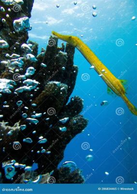  Trumpet Sponge: A Vibrant Underwater Horn Player with Remarkable Filter Feeding Abilities!